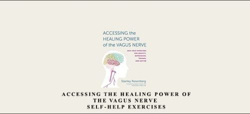 Stanley Rosenberg – Accessing the Healing Power of the Vagus Nerve