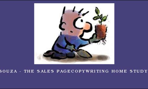 Sean D’Souza – The Sales PageCopywriting Home Study Course