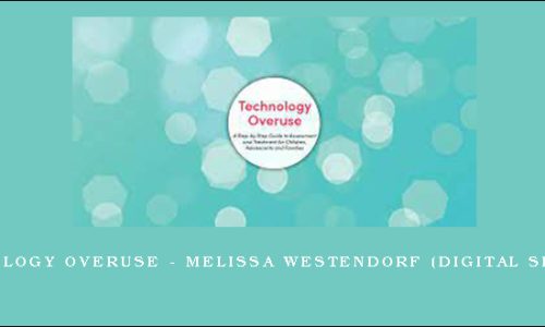 Technology Overuse – MELISSA WESTENDORF (Digital Seminar)