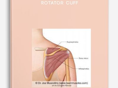 Joseph Muscolino – Rotator Cuff