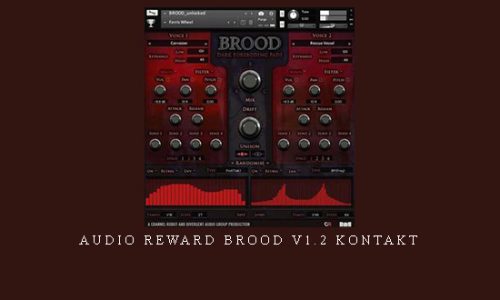 Audio Reward Headphase (v1 – v2) KONTAKT Audio Reward Headphase (v1 – v2) KONTAKT